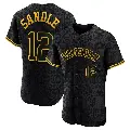 Men's No.12 Michael Sandle Houston Astros Black Authentic Snake Skin City Jersey