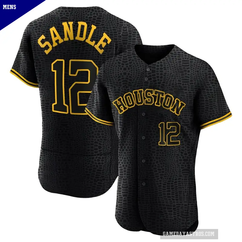 Men's No.12 Michael Sandle Houston Astros Black Authentic Snake Skin City Jersey